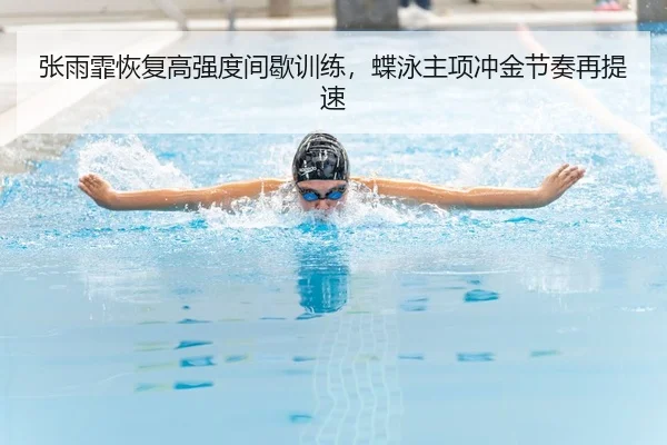 张雨霏恢复高强度间歇训练，蝶泳主项冲金节奏再提速